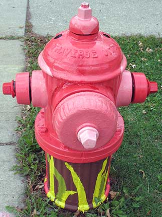 Flamingo - Ardmore and Vermont